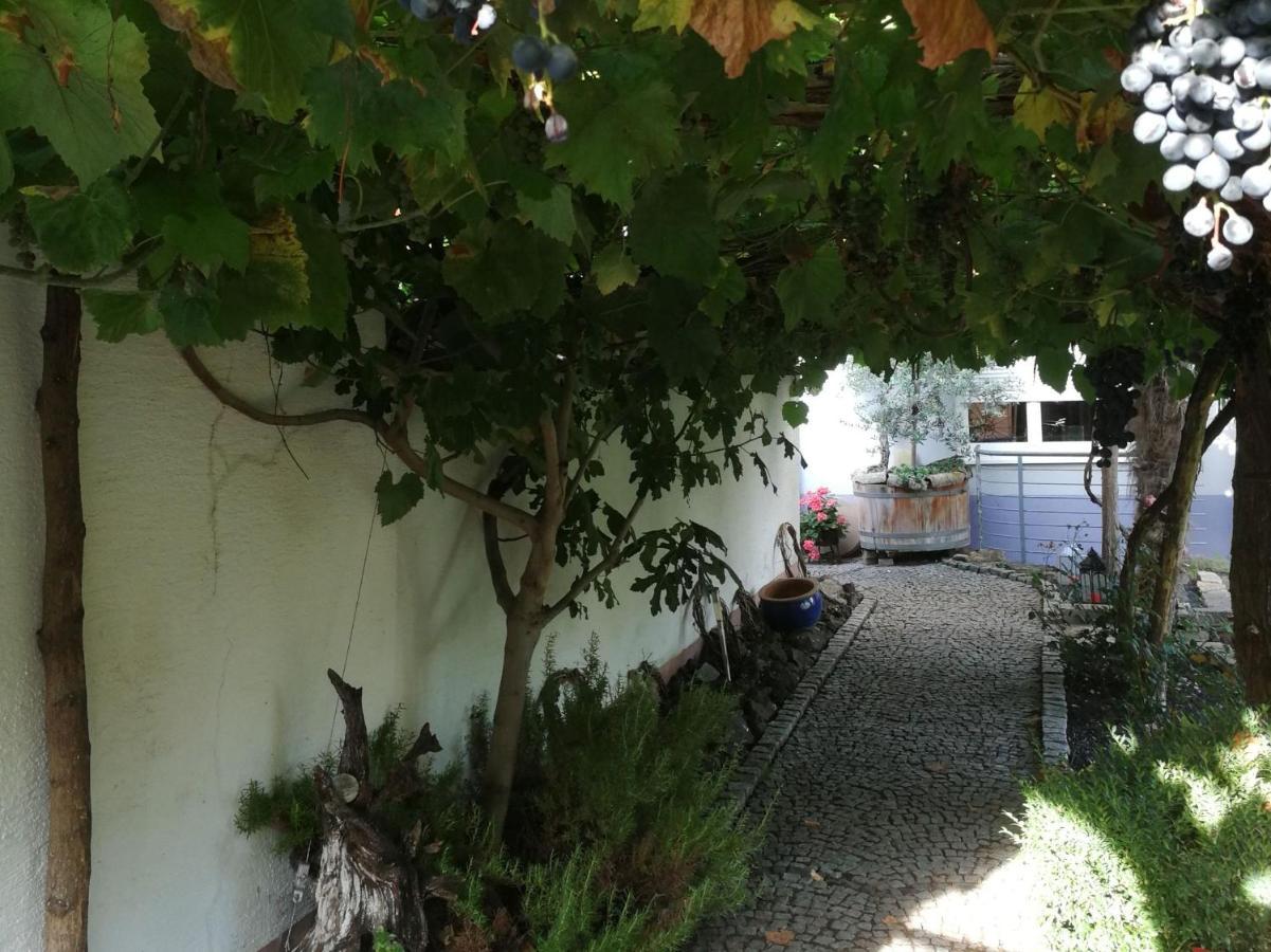 Haus Bienen Bed & Breakfast Ihringen Ngoại thất bức ảnh