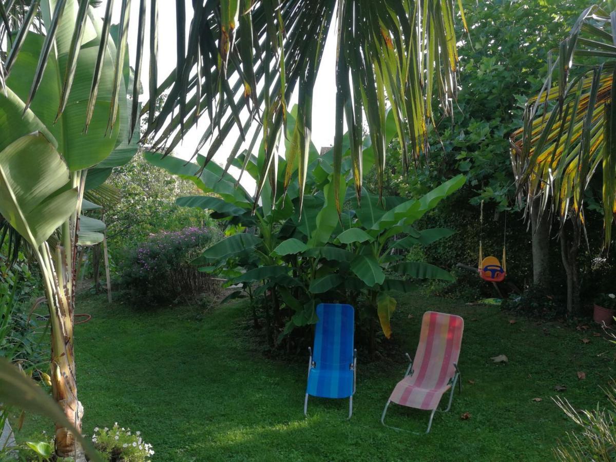 Haus Bienen Bed & Breakfast Ihringen Ngoại thất bức ảnh